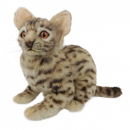 Леопардовая кошка, 35 см 