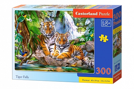 Пазлы Castorland – Тигры, 300 элементов 