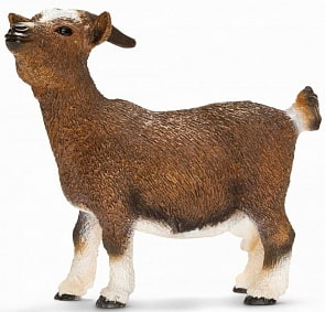 Игровая фигурка – Карликовый козел (Schleich, 13715k)