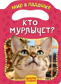 Книжка-игрушка - Кто мурлычет? (Росмэн, 30835)