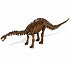 Набор для проведения раскопок из серии Dr.Steve Hunters - Апатозавр, 14 деталей  - миниатюра №1