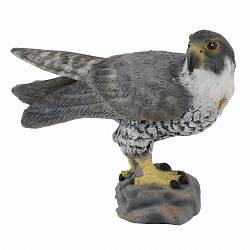 Фигурка Gulliver Collecta - Сокол, размер S (Collecta, 88399b) - миниатюра