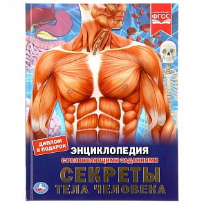 Энциклопедия А4 – Секреты тела человека (Умка, 978-5-506-04091-0)