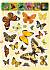 Наклейки – Бабочки, 100 наклеек  - миниатюра №1