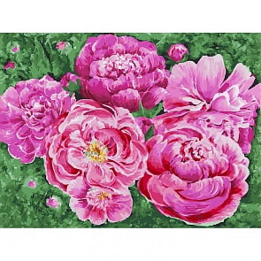 Живопись на холсте - Июньское утро (Белоснежка, 337-AS)