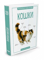 Энциклопедия - Кошки (Махаон, 9785389117549mh) - миниатюра