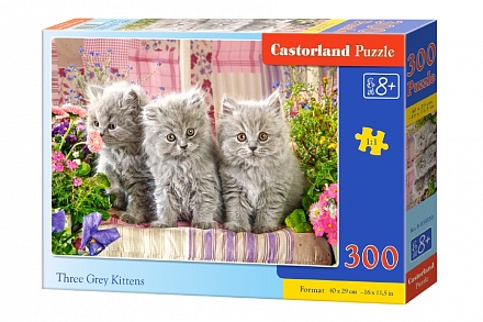 Пазлы Castorland - Три серых котенка, 300 элементов 