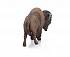 Фигурка – Американский бизон, 10,9 см  - миниатюра №3
