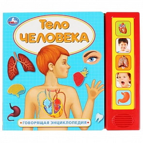 Говорящая энциклопедия - Тело человека, 5 звуковых кнопок (Умка, 9785506033844)