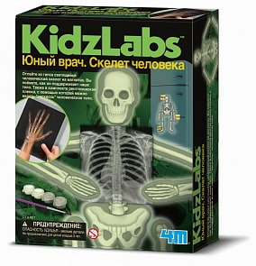 Игровой набор - Юный врач - Скелет человека (4M, 00-03375) Игровой набор - Юный врач - Скелет человека (4M, 00-03375)