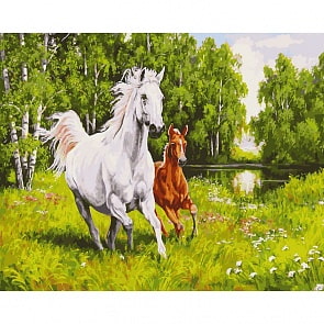 Раскраски по номерам - На воле, 40 х 50 см (Белоснежка, 139-AB)