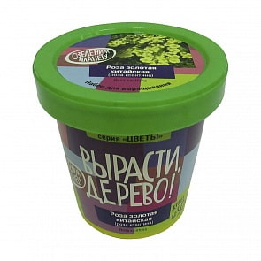 Набор для выращивания растений - Роза золотая китайская (Зеленый капитал, zk-062)