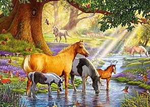 Пазлы Castorland – Лошади у реки, 300 элементов (Castorland, B-030286)