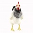 Мягкая игрушка - Курица черно-белая, 38 см  - миниатюра №1