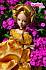 Кукла Sonya Rose Роскошное золото «Золотая коллекция»  - миниатюра №7