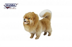 Померанский шпиц, 28 см (Hansa, 7018)
