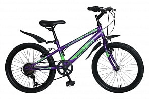 Велосипед Ригид Fighter, колеса 20", жесткая вилка, 7 скоростей, тормоза V-brake, стальные обода, крылья (TopGear, ВН20201)