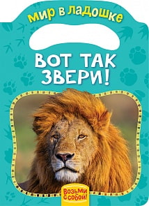 Книга из серии Мир в ладошке – Вот так звери! (Росмэн, 30837)