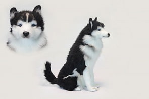 Мягкая игрушка - Хаски сидящая, 37 см. (Hansa, 6638)