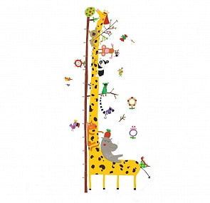 Ростомер - Друзья с Амазонки (Djeco, DD04037k)