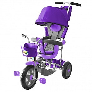 3-х колесный велосипед Galaxy Лучик Л001 с капюшоном, фиолетовый (RT, 5598RT)