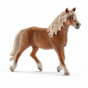 Игровая фигурка – Хафлингер жеребец, 15 см (Schleich, 13813k)