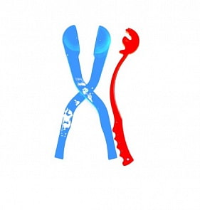 Бросатель и снежкодел (БРСН01SIM)