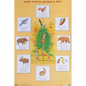 Плакат Николаева С. Н. - Кому нужны деревья в лесу (Мозаика-Синтез, МС10638)
