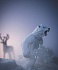 Снежный медведь с оружием  - миниатюра №1
