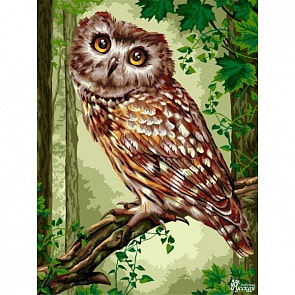 Рисование по номерам на холсте - Милые глазки, 40 х 50 (Фабрика Творчества, H128)