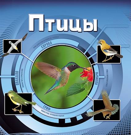 Детская энциклопедия Птицы 3D 