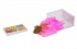 Набор Слайм Тайм - Надувная мяшка Bubble Gum с рыбкой, 5 цветов   - миниатюра №4
