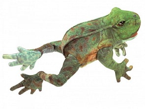 Мягкая игрушка на руку - Лягушка, 38 см. (Folkmanis, 3082)