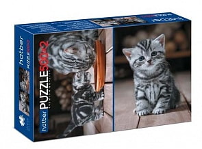 Пазлы Premium 500+500 элементов – 2 картинки, Котиков много не бывает (Hatber, D1000ПЗ2-21011)