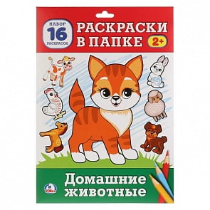 Раскраска в папке А4 Домашние животные, 16 картинок (Умка, 978-5-506-02312-8)