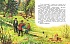 Сборник рассказов М. Пришвина - Золотой луг, рисунки В. Горячевой  - миниатюра №3