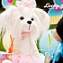 Собачка Lucky Doggy - Lucky Mimi: Розочка  - миниатюра №3