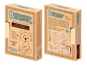 Доски для выжигания 10 шт., сложность рисунков "новичок" (Десятое королевство, 01723ДК)