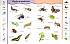 Книга с забавными наклейками «Пауки и насекомые» из серии Animal Planet  - миниатюра №1