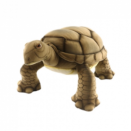 Мягкая игрушка - Галапагосская черепаха, 70 см 