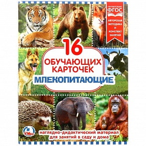 Карточки в папке – Млекопитающие, 16 обучающих карточек (Умка, 4690590146507)