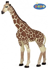 Фигурка Жираф (Papo, 50096_papo)