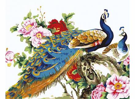 Раскраски по номерам - Картина «Китайские павлины», 40 х 50 см. 