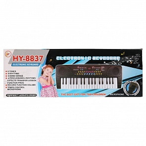 Электроорган с микрофоном, на аккумуляторе, usb зарядное устройство (B1671105sim)