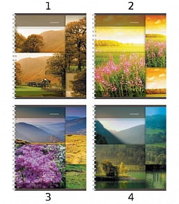 Тетрадь 96 листов КЛЕТКА «Отражения природы» (Полиграфика, 38011)