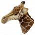 Декоративная игрушка - Голова жирафа, 35 см  - миниатюра №2