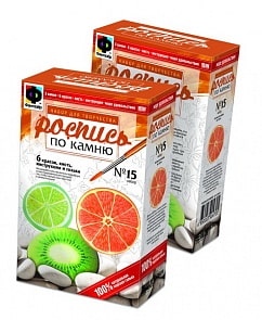 Набор для творчества №15. Роспись по камню " апельсин, киви, лайм" (Фантазер, 394015) 