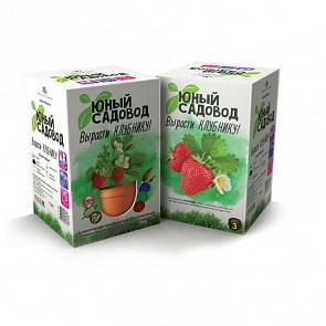 Набор для экспериментов - Юный садовод - Вырасти клубнику (Висма, 402пл)
