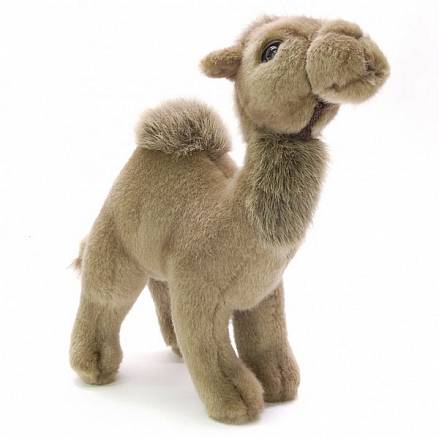 Мягкая игрушка - Верблюд, 22 см. 