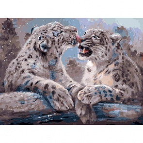 Живопись на холсте - Ирбисы (Белоснежка, 341-AS)